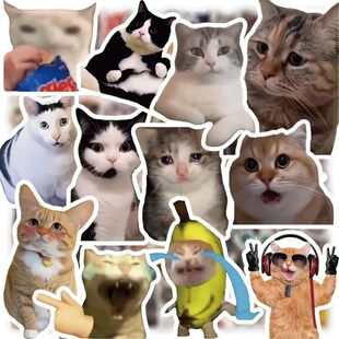 300张猫meme贴纸可爱搞笑鬼畜猫咪ins风表情包梗图素材手账本贴画