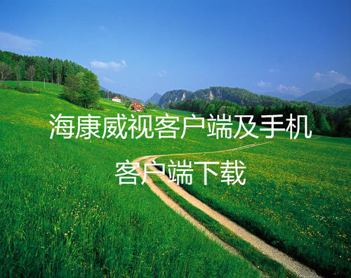 海康威视电脑客户端手机客服端