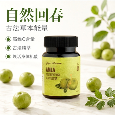 印度Isha Life Amla余甘子片印度醋栗油甘果高维C古法回春草本