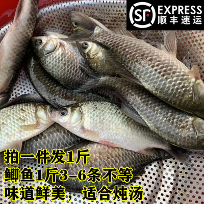 淡水鱼河源新鲜孕妇食品万绿湖