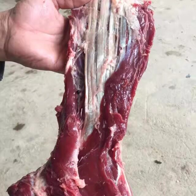 新鲜牛肉现杀颈咙肉吊龙肉 吊龙伴 牛脖子雪花肉代餐低脂火锅青草