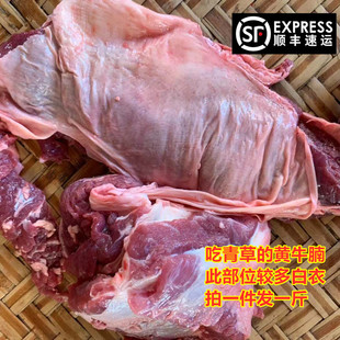 河源农村现宰新鲜牛沙腩青草黄牛肚腩牛白腩农家散养农户