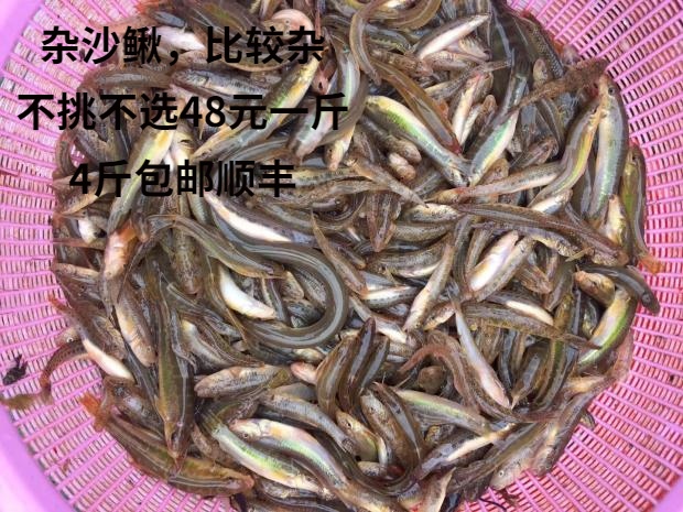 新鲜杂鱼沙鳅虾虎鱼不宰拍3件包邮生鲜晏请食材鱼仔淡水族观赏鱼