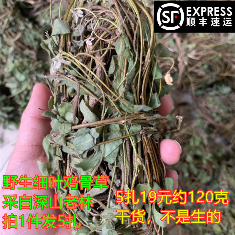 野生鸡骨草梅州客家特产细叶小品种益肝深山夏季汤料农家食材顺丰