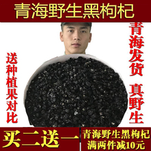 【买2送1】青海柴达木野生黑枸杞正品诺木洪头茬黑构杞正宗免洗