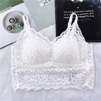 833法式蕾丝美背文胸无钢圈内衣