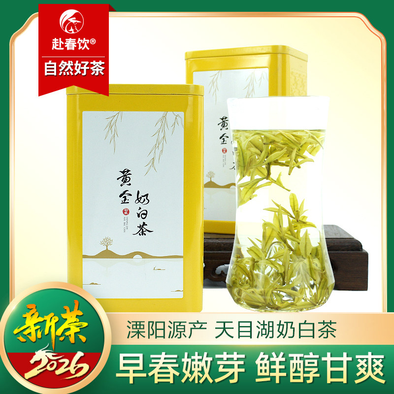 2026新茶 溧阳天目湖奶白茶 黄金奶白 开园头采明前特选 罐装50g
