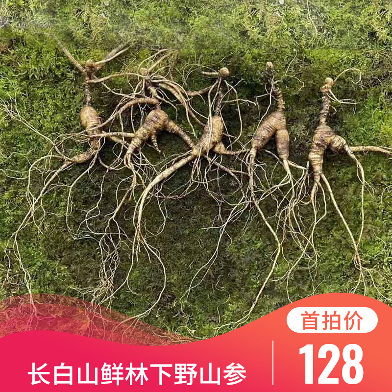 新鲜林下野山参带土林下参野生鲜人参泡酒煲汤高龄老参拍图自选形