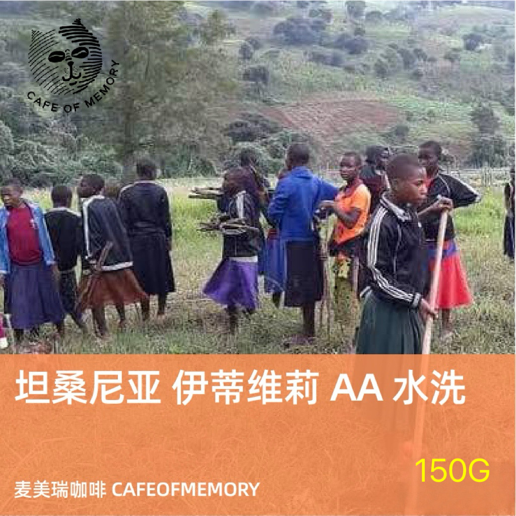 麦美瑞cafeofmemory咖啡豆坦桑尼亚小红莓伊蒂维莉 AA 水洗