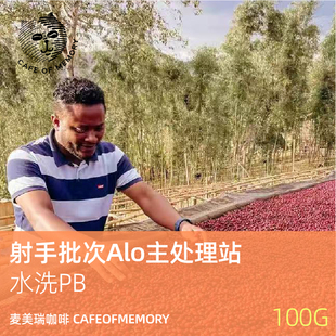 麦美瑞Cafeofmemory咖啡豆【射手批次Alo主处理站水洗PB】
