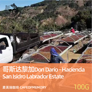 麦美瑞咖啡豆哥斯达黎加DonDaríoCOE第二名唐里奥庄园