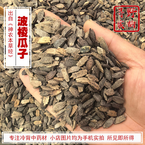 寻野实拍中药材波棱瓜子