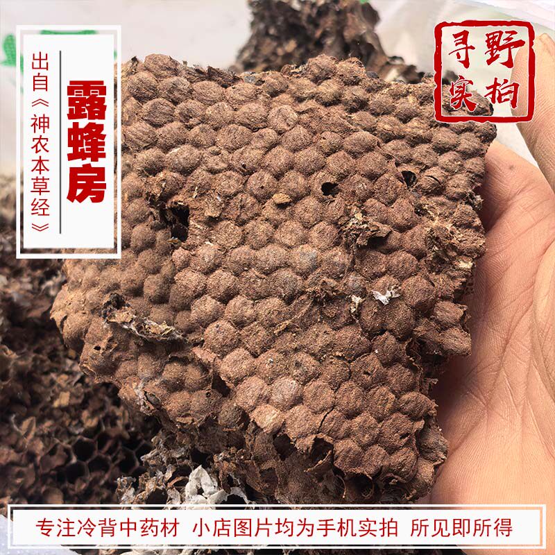 寻野实拍 药材 露蜂房（露蜂房马蜂窝蜂巢野蜂窝黄蜂窝百穿之巢）