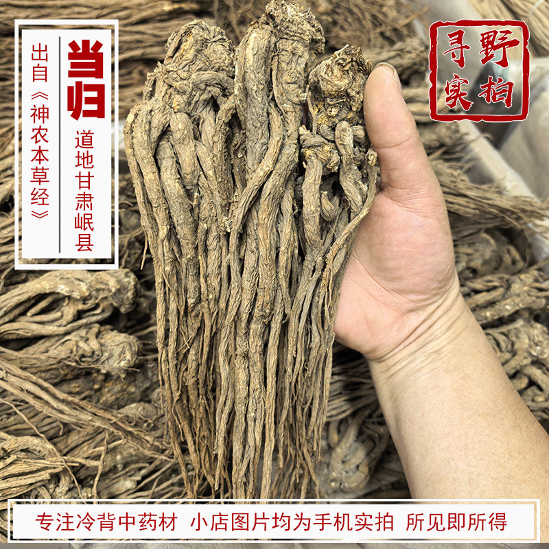 寻野实拍 当归个子中药材批 发甘肃珉县无硫原色当归 精选大个