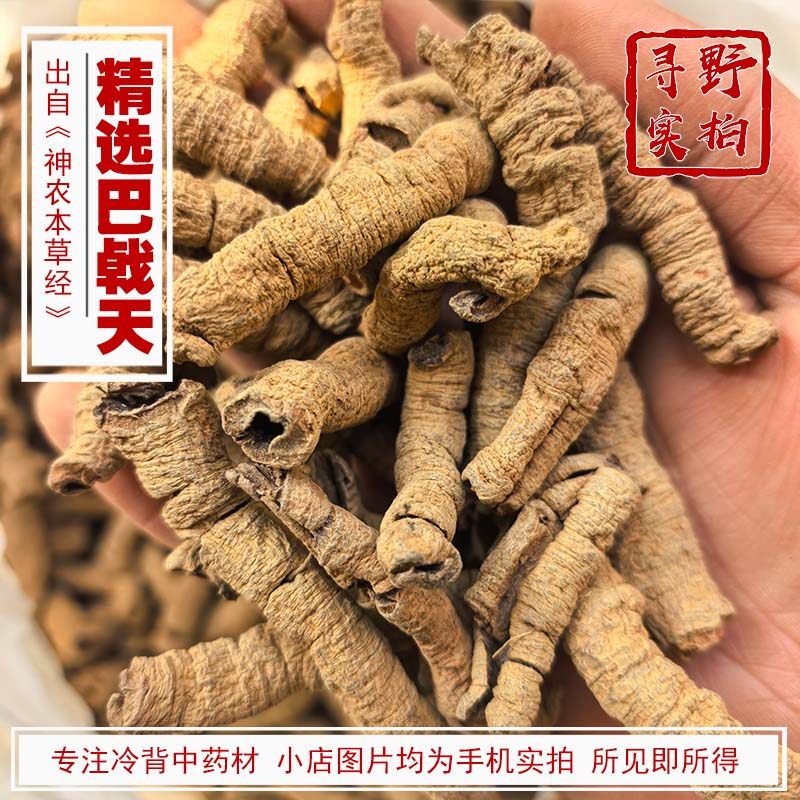 寻野实拍 药材 精选巴戟天 大条 巴戟巴吉天 巴戟肉 盐巴戟天