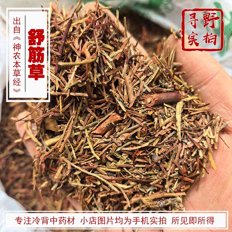 寻野实拍 中药材 舒筋草青筋藤松筋藤马尾伸筋 藤石松 另有伸筋草,传统滋补营养品,其他药食同源食品,淘宝优惠券,粉丝福利购,淘宝优惠卷
