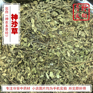 寻野实拍 中药材 神沙草 瓜子金 辰砂草 金锁匙瓜子草