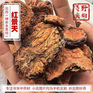 寻野实拍 药材 红景天 刮皮断面粉红色至紫红色西藏大花红景