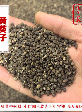 寻野实拍中药材黄葵子