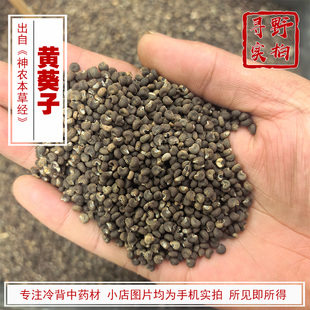 寻野实拍 中药材 黄葵子 藏族习用药 黄葵 黄葵子 秋葵子 羊桃子