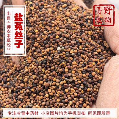 寻野实拍中药材盐菟丝子