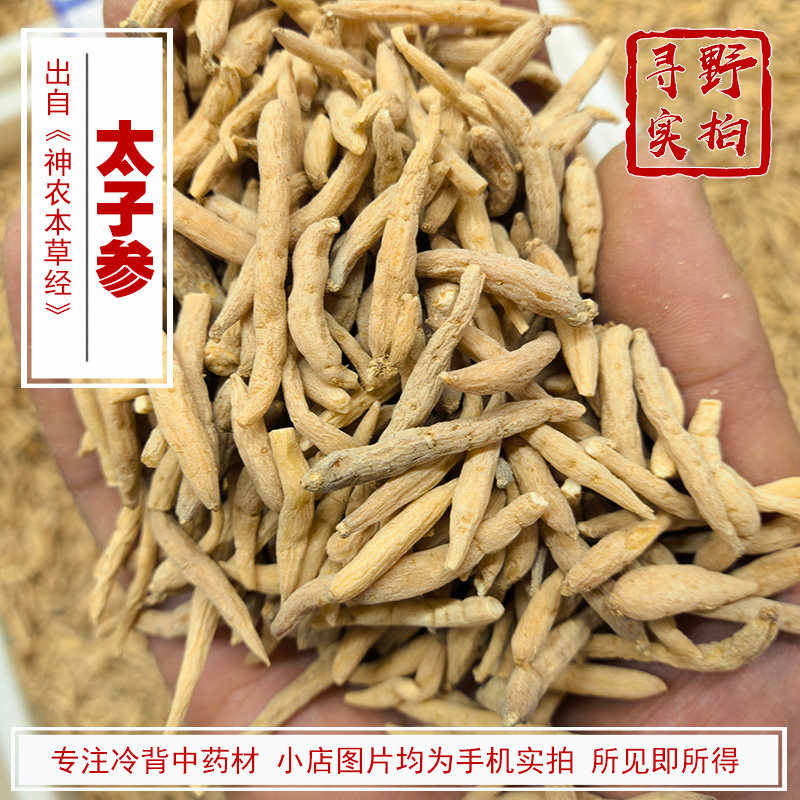 寻野实拍中药材精选太子参