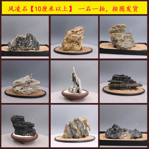 新疆戈壁天然风凌石鱼缸假山多肉