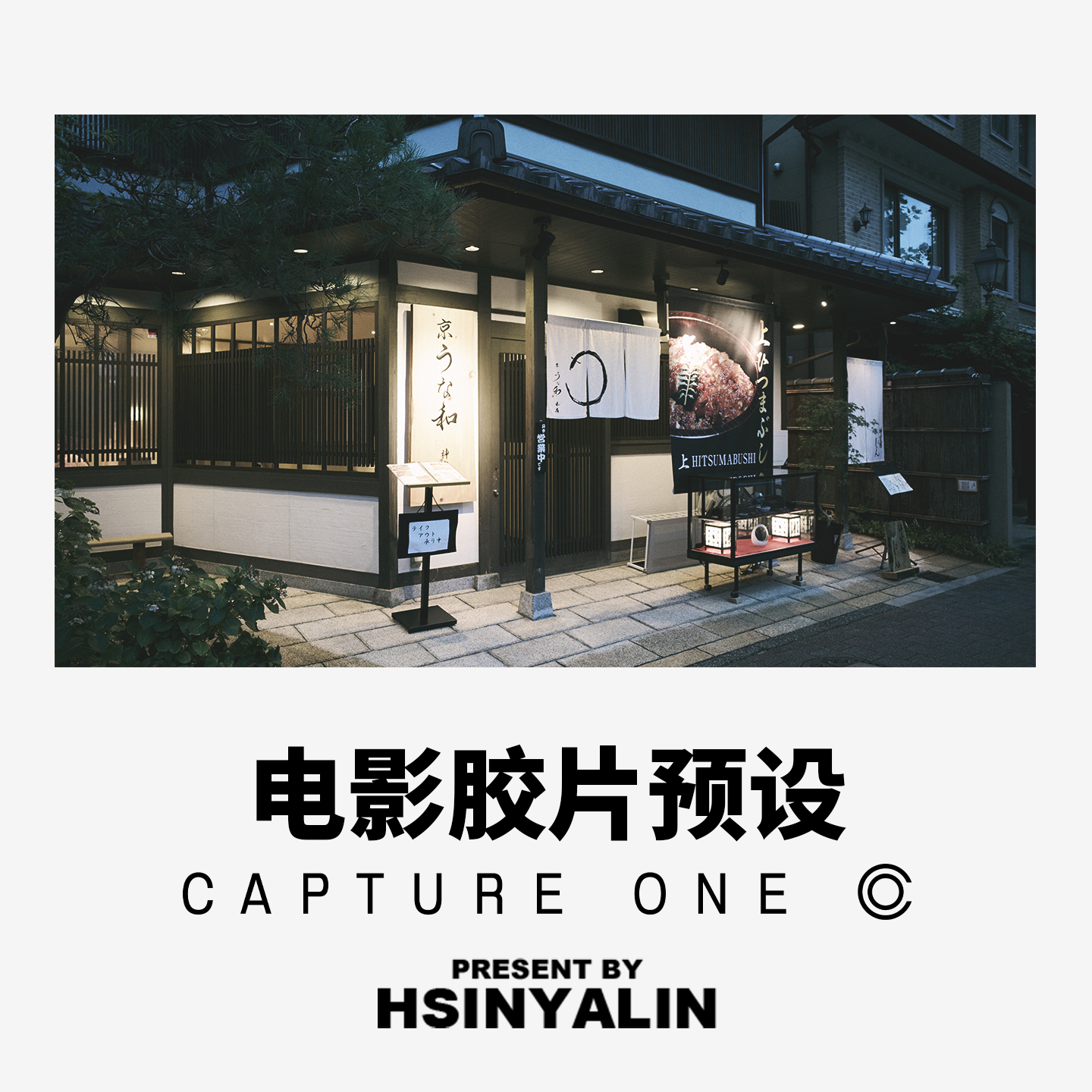 【HSINYALIN】Capture One预设 电影胶片预设