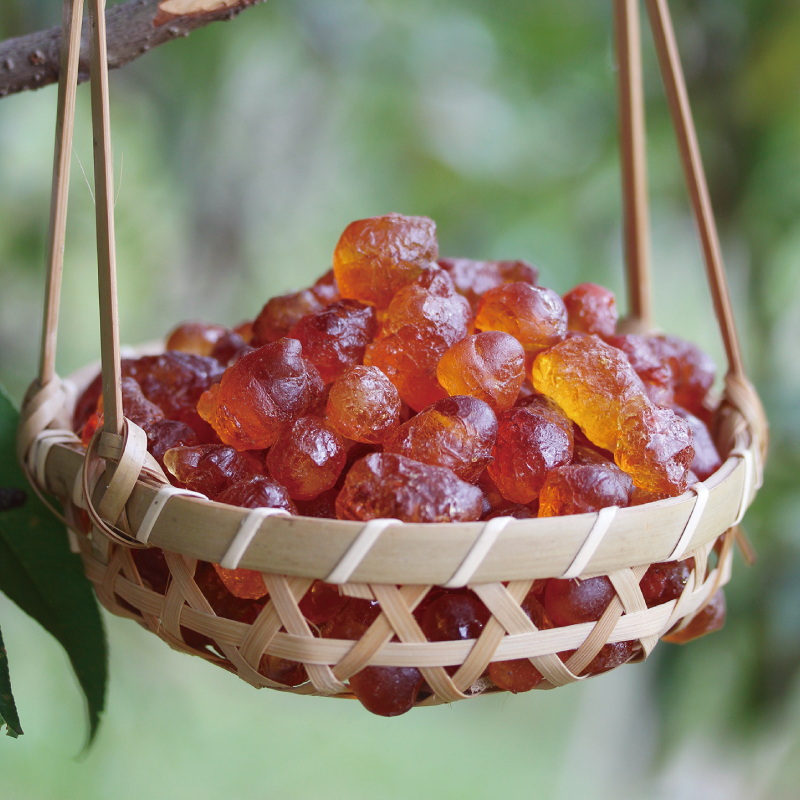 珍珠桃胶120g无杂质糯皂角米