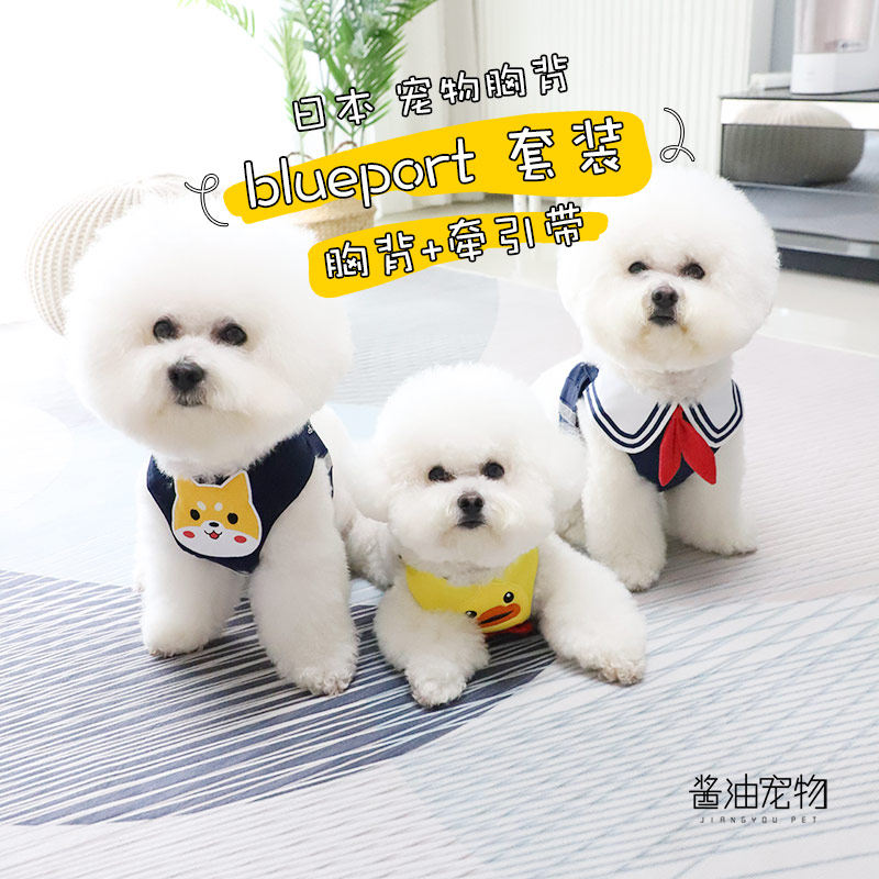 日本blueport超可爱宠物胸背牵引带套装狗牵引绳透气小型犬猫咪