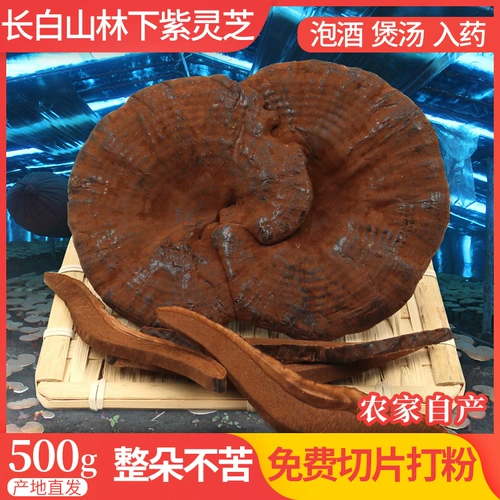 Ganoderma 500G Целые ветви северо -восточной полупудревой пурпурной ганодермы Lingzhi Dry Good