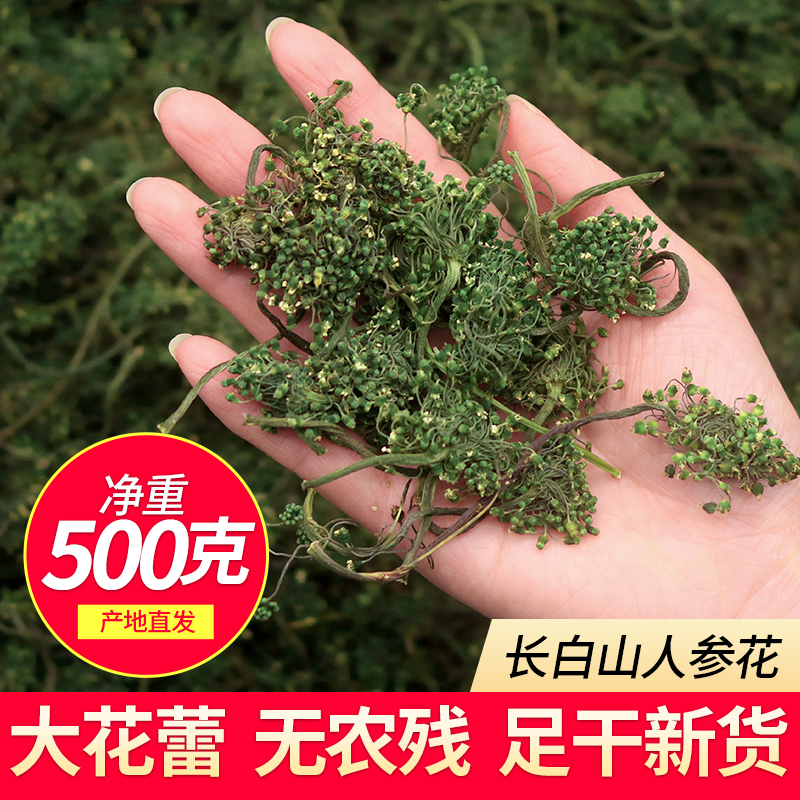 人参花500g长白山正品6年野生人参大花蕾林下干花精选新鲜人参花