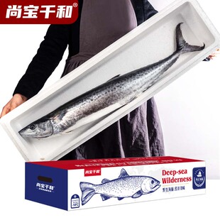 胶东大鲅鱼礼盒生鲜冻品整条鱼