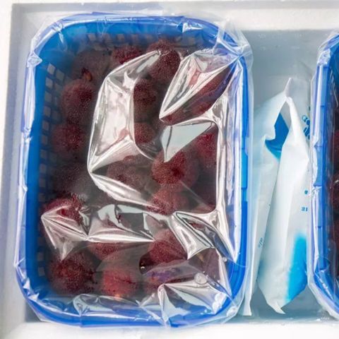 2斤3斤新料杨梅篮真空包装篮樱桃芒果方篮框塑料杨梅篮厂家
