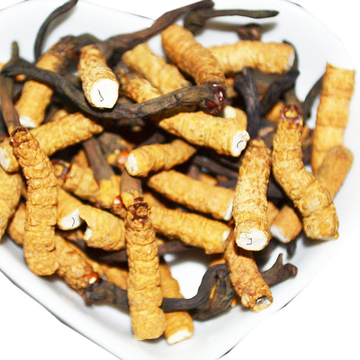 正宗西藏那曲头期冬虫夏草非青海玉树新鲜干货断虫草正品虫草1克