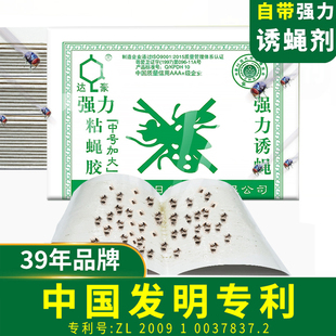 达豪粘蝇纸中号加大苍蝇贴强力诱蝇粘蝇板灭蝇子饭店家用粘蝇胶