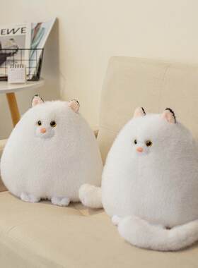 跨境系白色波斯猫公仔呆萌猫咪玩偶抱枕毛绒玩具女生生日礼物