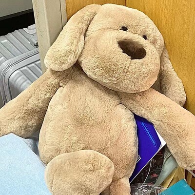 小狗毛绒玩具公仔女孩生日礼物女生修狗娃娃抱着睡觉狗狗玩偶抱枕