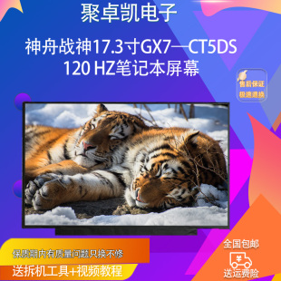 适用神舟战神17.3寸GX7 144HZ笔记本屏幕 CT5DS