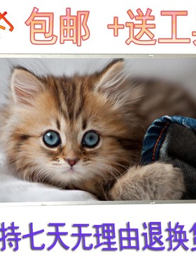 适用宏基 ACER 4540 4743G 4736ZG 4750g 4739z 4741G 4250G 屏幕