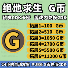 PUBGG币 绝地求生G币CDK兑换码吃鸡g币充值点卷gb金币货币皮肤CDK