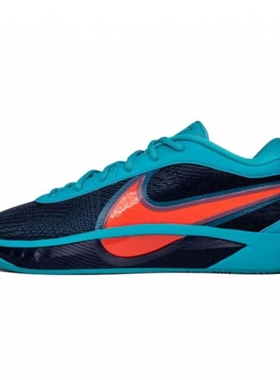 耐克 男鞋新款ZOOM FREAK 6字母哥6代缓震实战篮球鞋 FJ7807-300