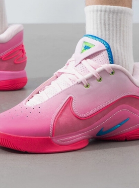 nike耐克男鞋 LEBRON 22 时尚百搭潮流运动篮球鞋HV8456-600