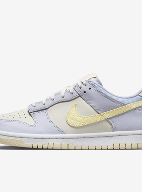 NIKE耐克大童鞋 DUNK SE 舒适透气休闲低帮板鞋FJ4641-536