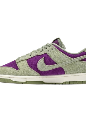 NIKE耐克男鞋 DUNK LOW RETRO舒适透气时尚休闲板鞋IB2990-500