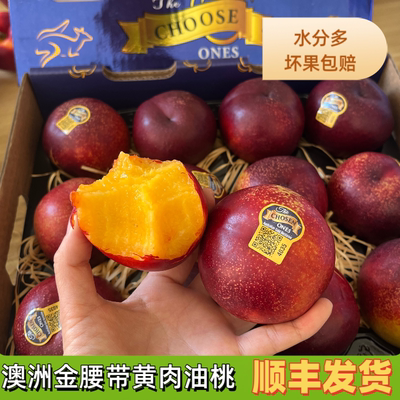 正宗澳洲油桃黄肉油桃发顺丰