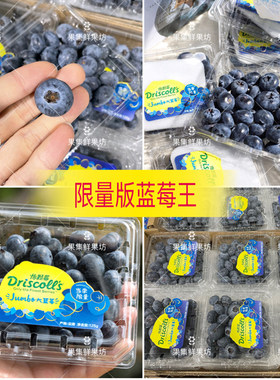 云南怡颗蓝莓王当季限量