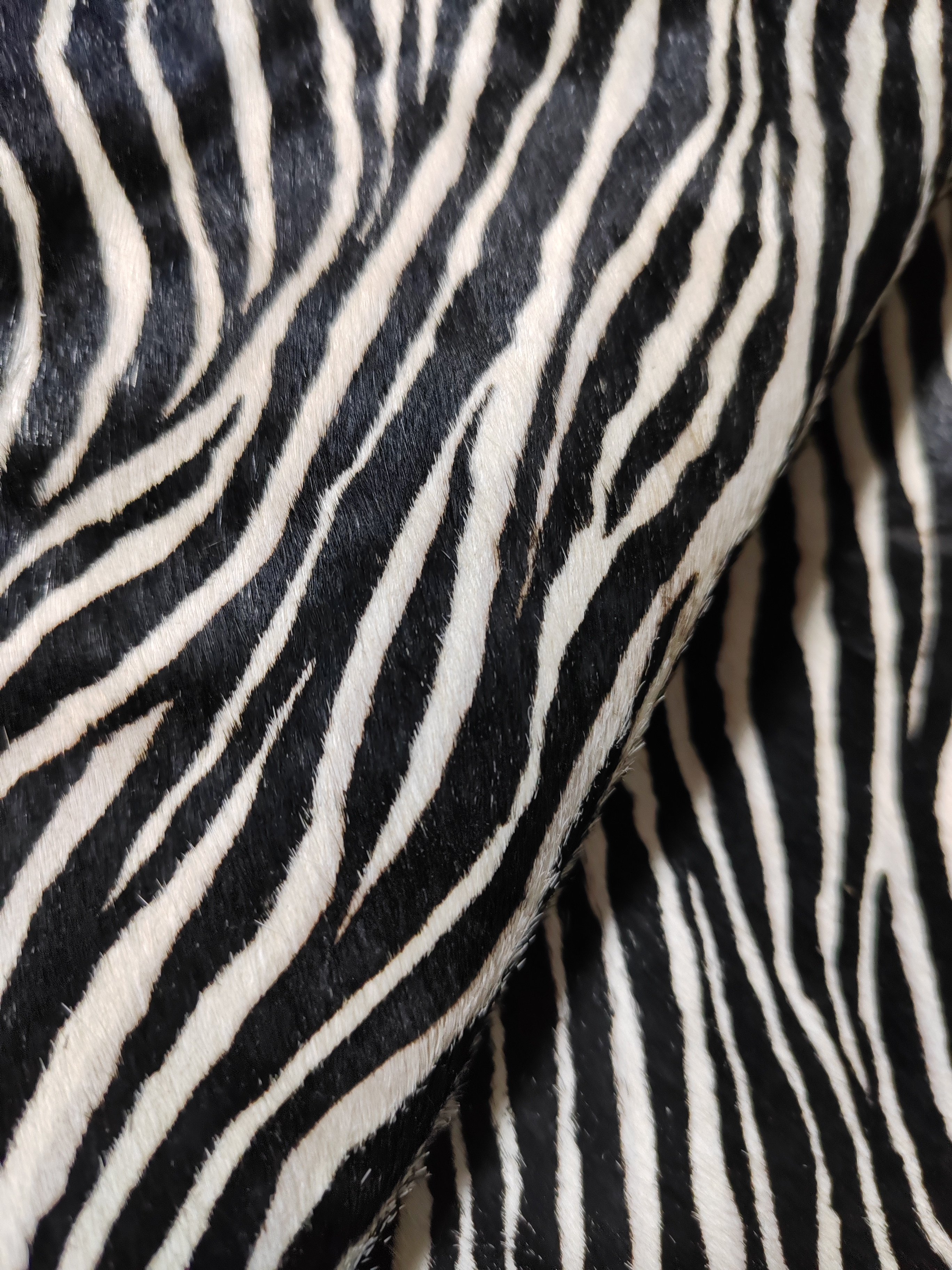 四边直黑白双色斑马纹牛皮毛一体厚1.3-1.5箱包地毯沙发包枕真皮A