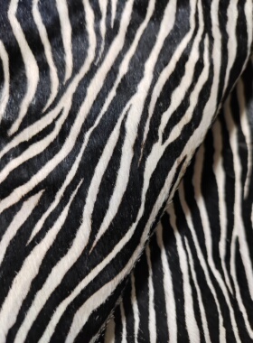 四边直黑白双色斑马纹牛皮毛一体厚1.3-1.5箱包地毯沙发包枕真皮A