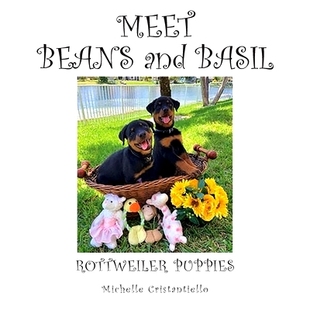 Basil 预订 and Beans 9781643147307 Meet